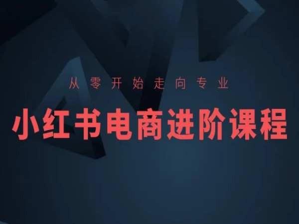 从零开始走向专业，小红书电商进阶课程-精品虚拟资源库