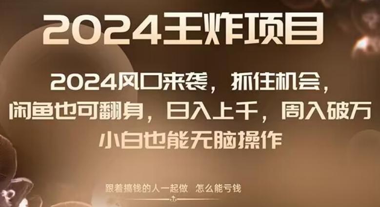 2024风口项目来袭，抓住机会，闲鱼也可翻身，日入上千，周入破万，小白也能无脑操作-精品虚拟资源库