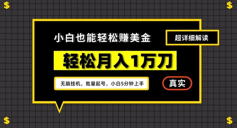谷歌看广告撸美金2.0，无脑挂机，多号操作，月入1万刀【揭秘】-精品虚拟资源库