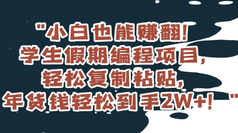 小白也能赚翻！学生假期编程项目，轻松复制粘贴，年货钱轻松到手2W+【揭秘】-精品虚拟资源库