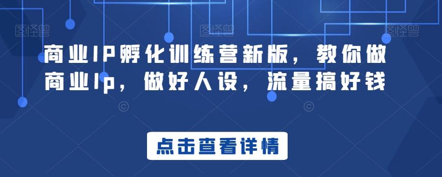 商业IP孵化训练营新版，教你做商业Ip，做好人设，流量搞好钱-精品虚拟资源库
