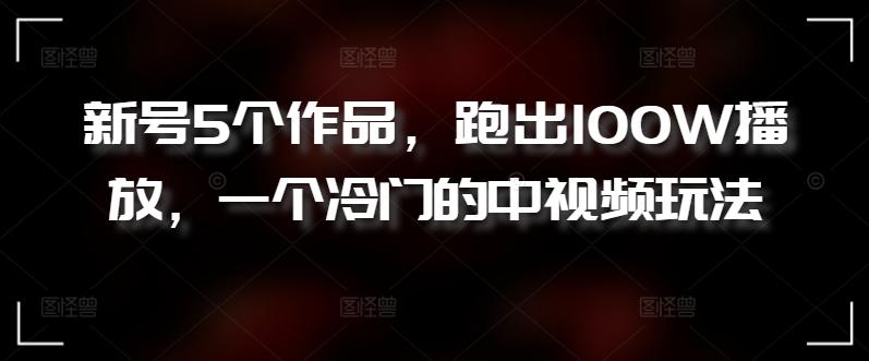新号5个作品，跑出100W播放，一个冷门的中视频玩法【揭秘】-精品虚拟资源库