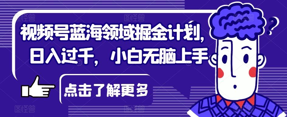 视频号蓝海领域掘金计划，日入过千，小白无脑上手【揭秘】-精品虚拟资源库