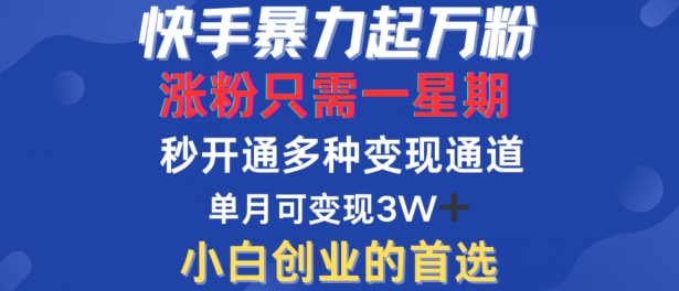 快手暴力起万粉，涨粉只需一星期，多种变现模式，直接秒开万合，单月变现过W【揭秘】-精品虚拟资源库