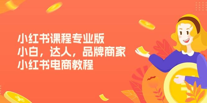 小红书课程专业版，小白，达人，品牌商家，小红书电商教程(15节-精品虚拟资源库