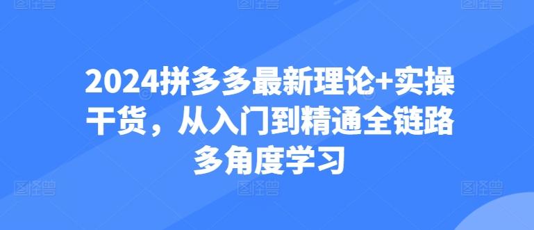2024拼多多最新理论+实操干货，从入门到精通全链路多角度学习-精品虚拟资源库