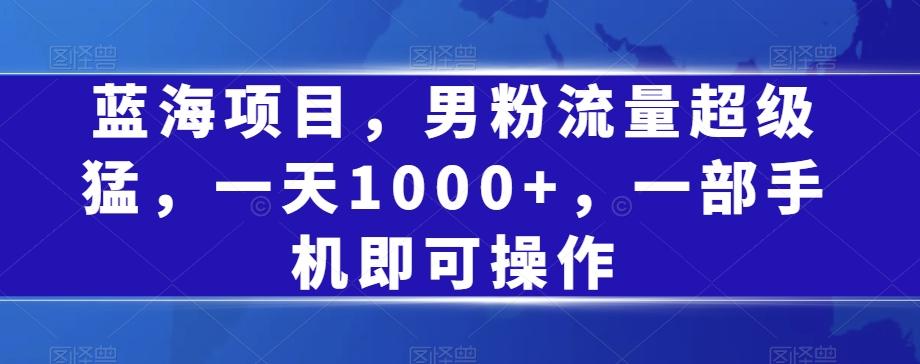 蓝海项目，男粉流量超级猛，一天1000+，一部手机即可操作【揭秘】-精品虚拟资源库