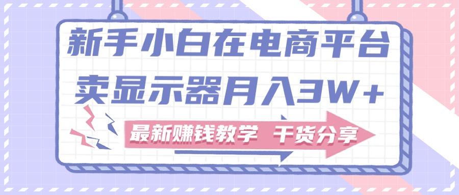 新手小白如何做到在电商平台卖显示器月入3W+，最新赚钱教学干货分享-精品虚拟资源库