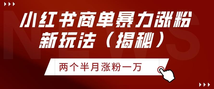 小红书商单暴力涨粉新玩法两个半月涨粉一万（揭秘）-精品虚拟资源库