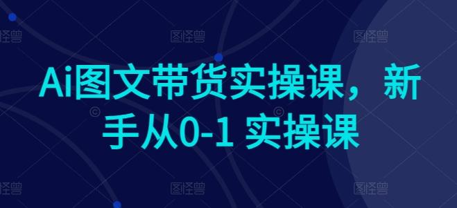 Ai图文带货实操课，新手从0-1 实操课-精品虚拟资源库