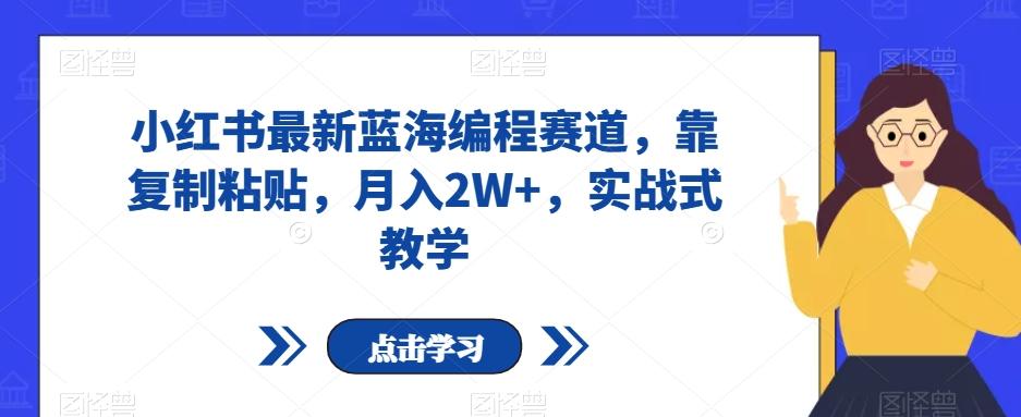 小红书最新蓝海编程赛道，靠复制粘贴，月入2W+，实战式教学【揭秘】-精品虚拟资源库