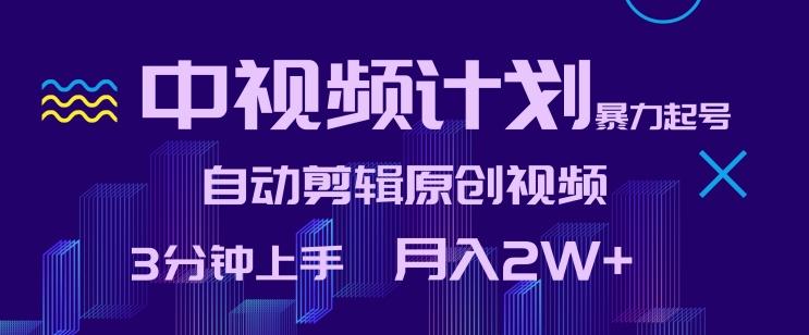 中视频计划暴力起号，自动剪辑原创视频，3分钟上手，月入2W+【揭秘】-精品虚拟资源库