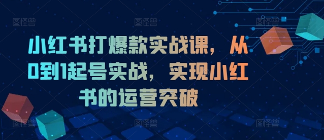 小红书打爆款实战课，从0到1起号实战，实现小红书的运营突破-精品虚拟资源库