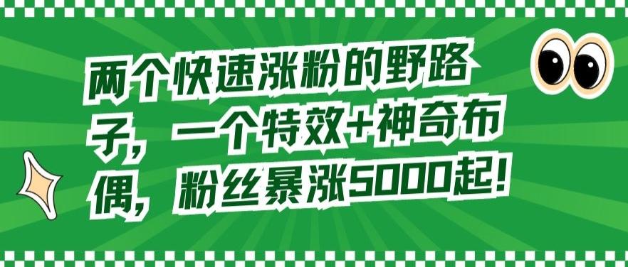 两个快速涨粉的野路子，一个特效+神奇布偶，粉丝暴涨5000起【揭秘】-精品虚拟资源库