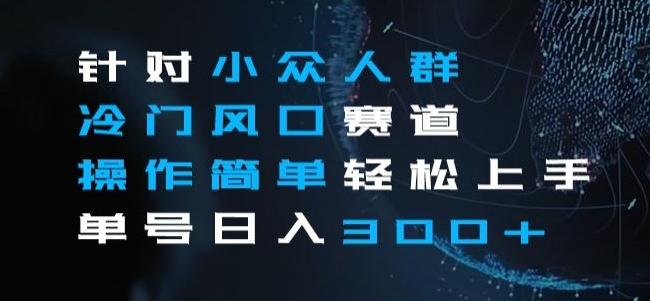 针对小众人群冷门风口赛道，操作简单轻松上手单号日入300+-精品虚拟资源库