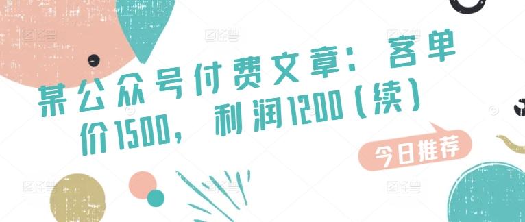 某公众号付费文章：客单价1500，利润1200(续)，市场几乎可以说是空白的-精品虚拟资源库