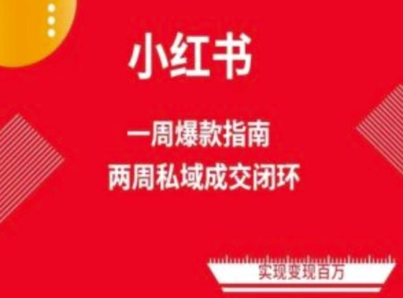 爆款小红书免费流量体系课程(两周变现)，小红书电商教程-精品虚拟资源库