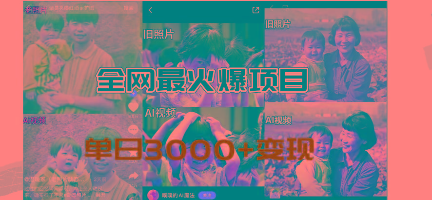 全网爆火的AI让老照片动起来教程，蹭热点日赚3000+，内含免费工具一键…-精品虚拟资源库