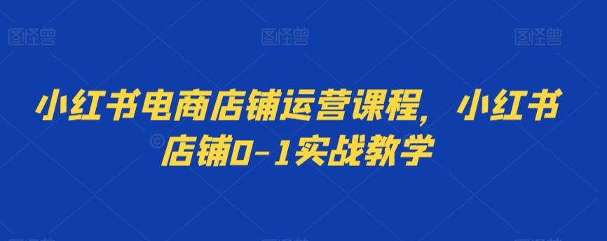 小红书电商店铺运营课程，小红书店铺0-1实战教学-精品虚拟资源库