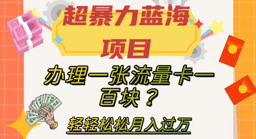 超暴力蓝海项目，办理一张流量卡一百块？轻轻松松月入过万，保姆级教程【揭秘】-精品虚拟资源库
