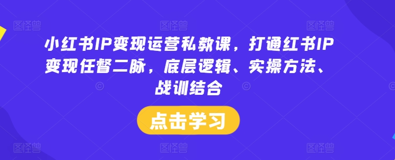 小红书IP变现运营私教课，打通红书IP变现任督二脉，底层逻辑、实操方法、战训结合-精品虚拟资源库