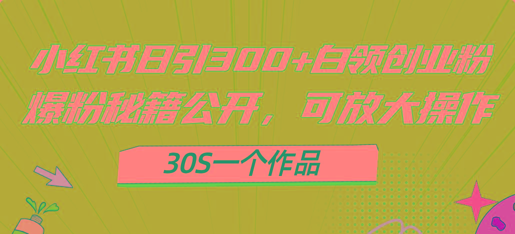 小红书日引300+高质白领创业粉，可放大操作，爆粉秘籍！30s一个作品-精品虚拟资源库