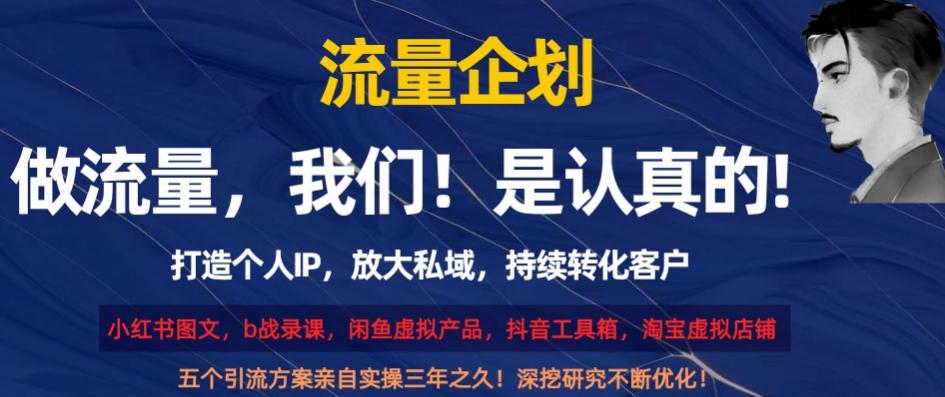 流量企划，打造个人IP，放大私域，持续转化客户【揭秘】-精品虚拟资源库