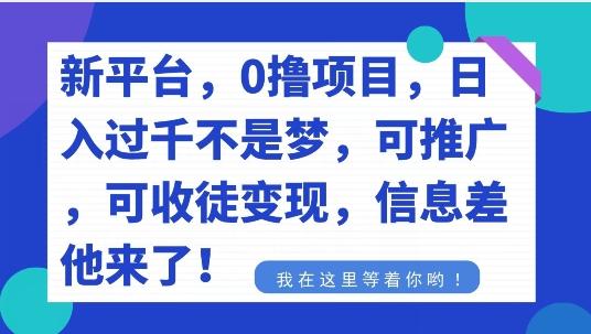 不要再花冤枉钱了，0撸项目，每天坚持，稳定1000+-精品虚拟资源库