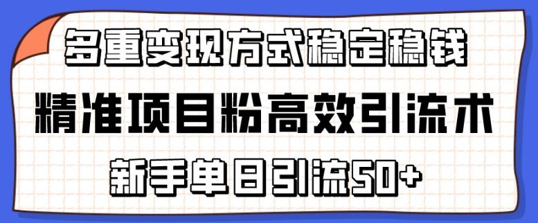 精准项目粉高效引流术，新手单日引流50+，多重变现方式稳定赚钱【揭秘】-精品虚拟资源库