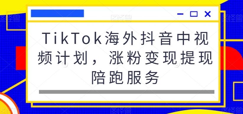 TikTok海外抖音中视频计划，涨粉变现提现陪跑服务-精品虚拟资源库