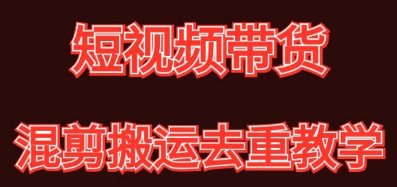 混剪去重短视频带货玩法，混剪搬运简单过原创思路分享-精品虚拟资源库