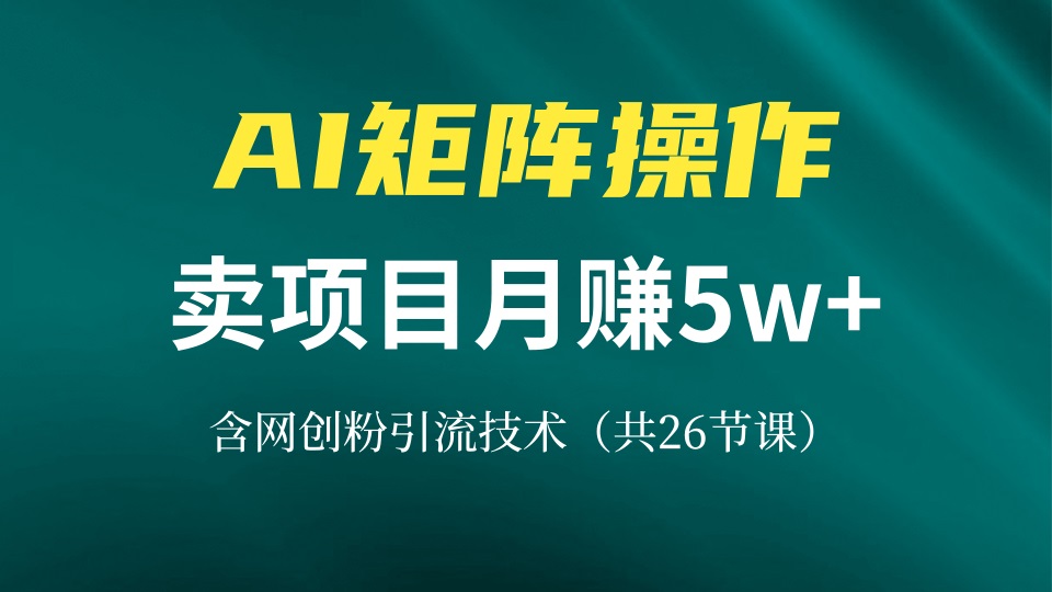 网创IP打造课，借助AI卖项目月赚5万+，含引流技术(共26节课-精品虚拟资源库