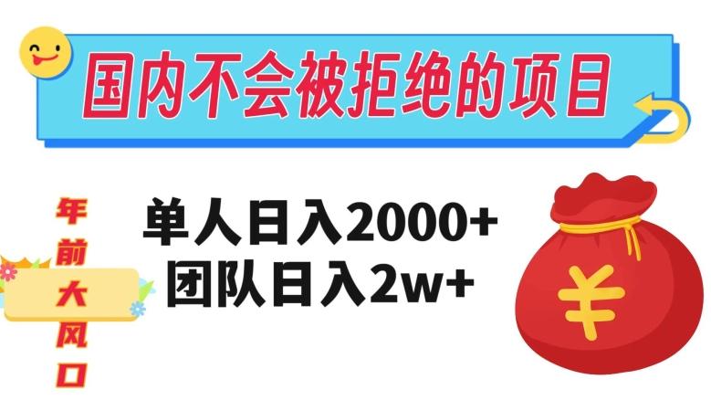 在国内不怕被拒绝的项目，单人日入2000，团队日入20000+【揭秘】-精品虚拟资源库