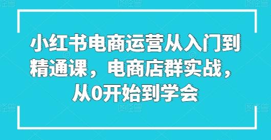 小红书电商运营从入门到精通课，电商店群实战，从0开始到学会-精品虚拟资源库