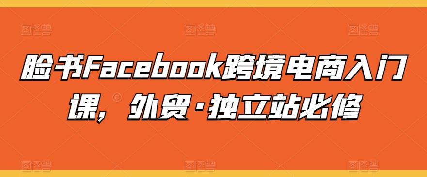 脸书Facebook跨境电商入门课，外贸·独立站必修-精品虚拟资源库