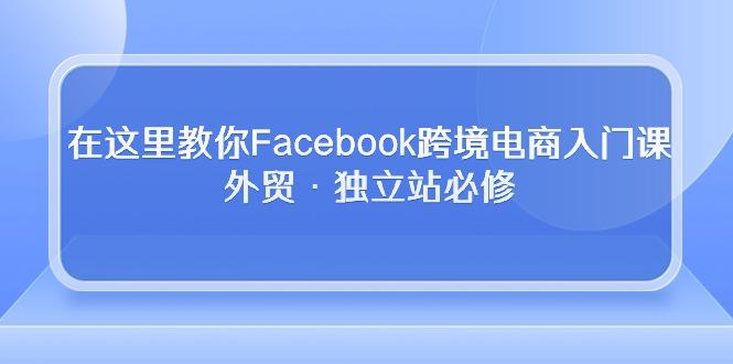 在这里教你Facebook跨境电商入门课，外贸·独立站必修-精品虚拟资源库