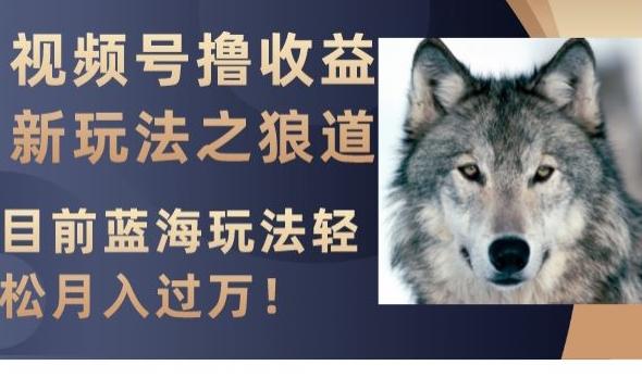 视频号撸收益新玩法之狼道，目前蓝海玩法，轻松月入过万【揭秘】-精品虚拟资源库