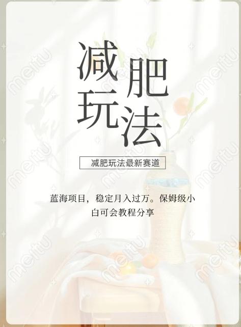 减肥流量主新玩法，轻松月入1W，可矩阵操作收入翻倍-精品虚拟资源库