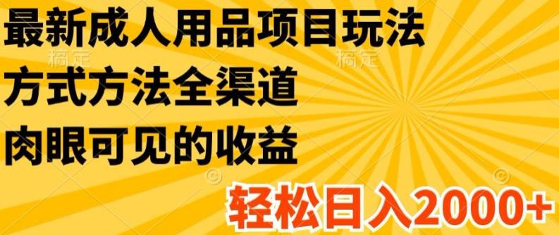 最新成人用品项目玩法，方式方法全渠道，轻松日入2K+【揭秘】-精品虚拟资源库