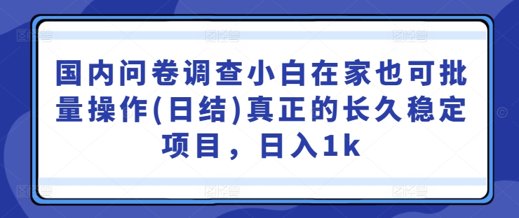 国内问卷调查小白在家也可批量操作(日结)真正的长久稳定项目，日入1k【揭秘】-精品虚拟资源库