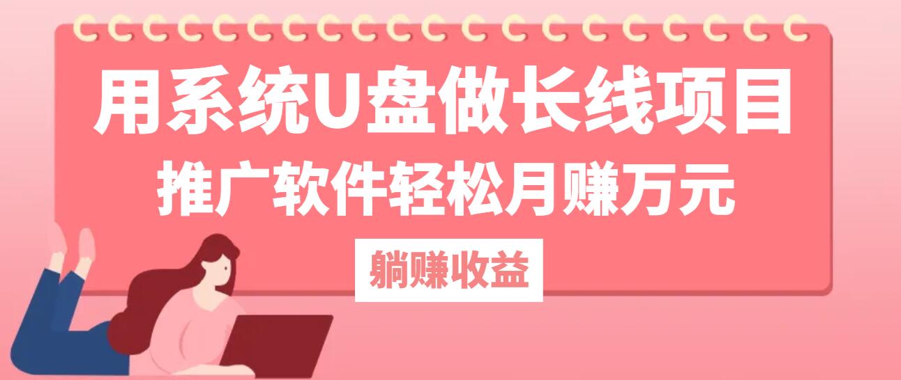 用系统U盘做长线项目，推广软件轻松月赚万元-精品虚拟资源库