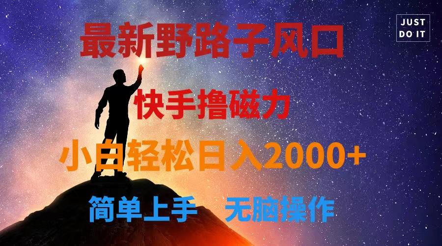 最新风口！快手撸磁力，野路子，小白无脑操作日入2000+-精品虚拟资源库