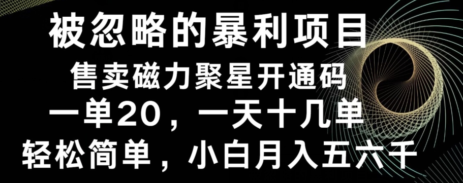 被忽略的暴利项目！售卖磁力聚星开通码，一单20，一天十几单，轻松月入五六千-精品虚拟资源库