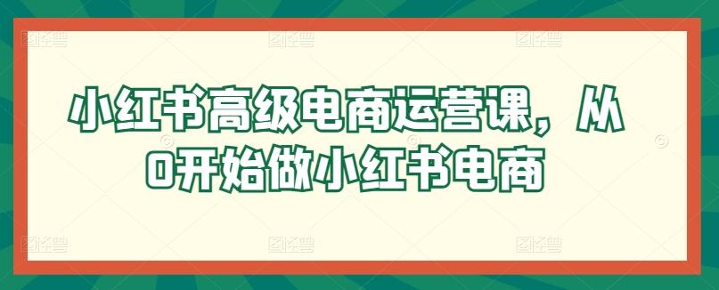 小红书高级电商运营课，从0开始做小红书电商-精品虚拟资源库