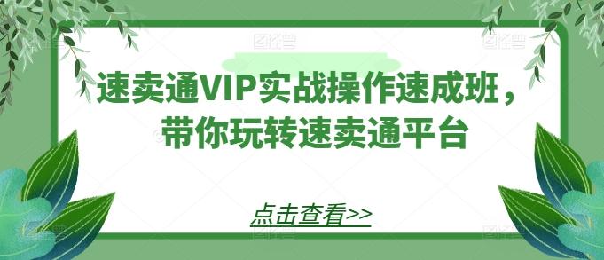 速卖通VIP实战操作速成班，带你玩转速卖通平台-精品虚拟资源库