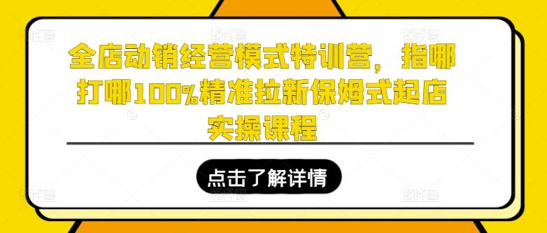 全店动销经营模式特训营，指哪打哪100%精准拉新保姆式起店实操课程-精品虚拟资源库