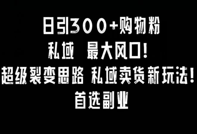 日引300+购物粉，超级裂变思路，私域卖货新玩法，小红书首选副业【揭秘】-精品虚拟资源库
