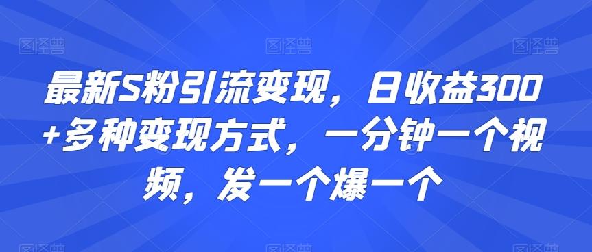 最新S粉引流变现，日收益300+多种变现方式，一分钟一个视频，发一个爆一个【揭秘】-精品虚拟资源库