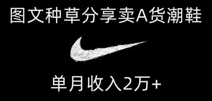 靠图文种草分享卖A货潮鞋，每天一小时，单月收入2万+【揭秘】-精品虚拟资源库