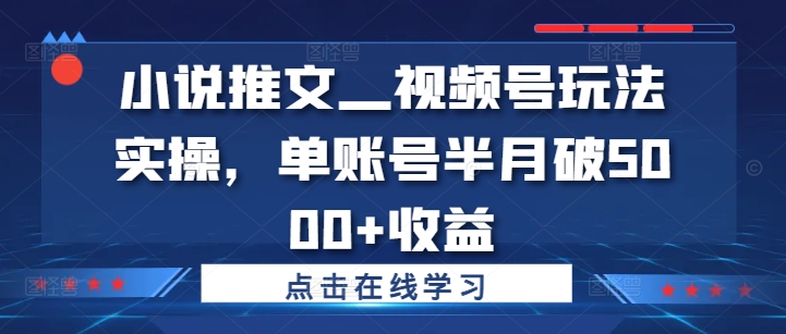 小说推文—视频号玩法实操，单账号半月破5000+收益-精品虚拟资源库